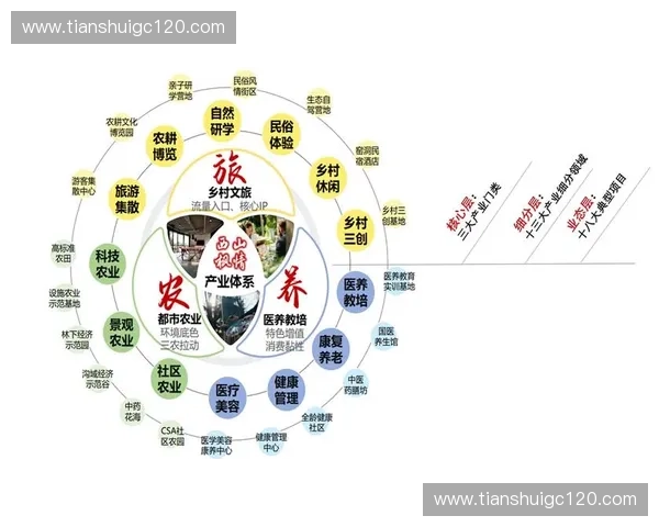 构建协同共生的现代体育产业生态创新发展新格局路径研究探索体系